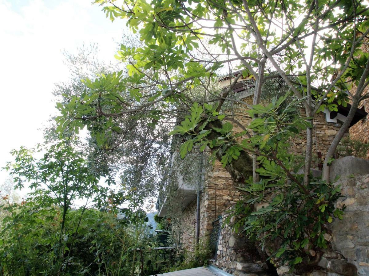 Holiday Home Mes Mas By Interhome Stellanello Exterior photo